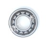 Roulement à rouleaux cylindriques NU2305EG15-SNR